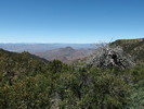 photo thumbnail #9