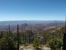 photo thumbnail #11
