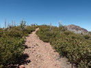 photo thumbnail #12