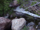 photo thumbnail #14
