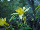 photo thumbnail #15