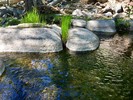 photo thumbnail #10