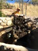 photo thumbnail #10