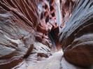 photo thumbnail #14