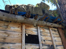 photo thumbnail #7
