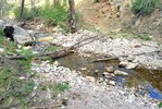 photo thumbnail #5