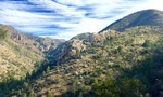 photo thumbnail #7