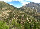 photo thumbnail #15