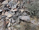 photo thumbnail #1