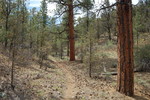 photo thumbnail #11
