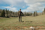 photo thumbnail #4