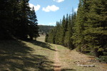photo thumbnail #7