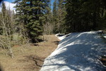 photo thumbnail #13
