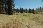 photo thumbnail #14