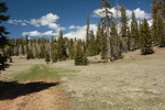photo thumbnail #15
