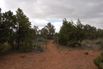 photo thumbnail #5