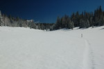photo thumbnail #4