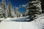 photo thumbnail #7