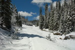 photo thumbnail #11