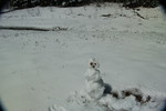 photo thumbnail #12