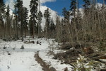 photo thumbnail #14