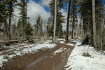 photo thumbnail #15
