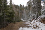 photo thumbnail #3