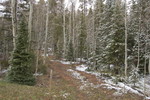 photo thumbnail #4