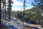 photo thumbnail #3