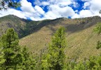 2017-05-10 :1: Blue Peak/LO & Indian Peak & Raspberry Peak :: AZHiker456