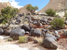 photo thumbnail #5