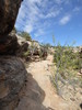 photo thumbnail #4