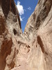 photo thumbnail #15