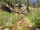 photo thumbnail #6