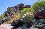 photo thumbnail #6