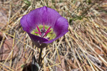 photo thumbnail #11