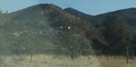 photo thumbnail #1