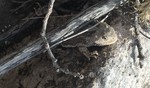 photo thumbnail #14