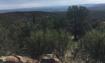 photo thumbnail #9