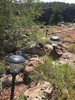 photo thumbnail #7
