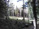 photo thumbnail #6