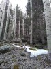photo thumbnail #7