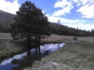 photo thumbnail #10