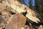 photo thumbnail #6