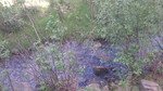 photo thumbnail #10