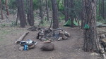 photo thumbnail #2