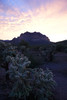 photo thumbnail #7