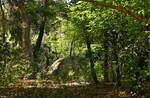 photo thumbnail #2
