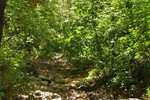 photo thumbnail #5