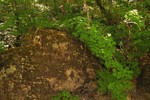 photo thumbnail #10